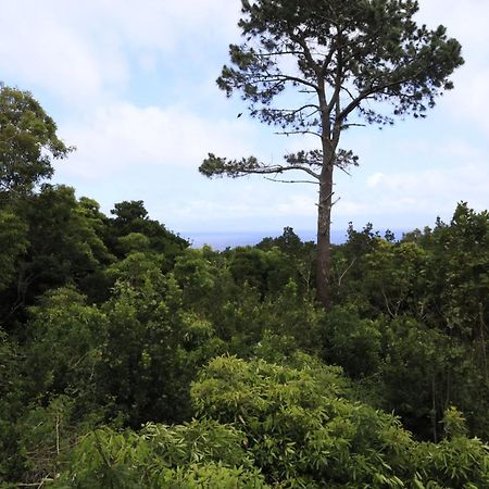 Vila Verde São Roque do Pico Buitenkant foto