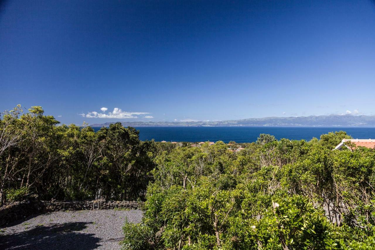 Vila Verde São Roque do Pico Buitenkant foto